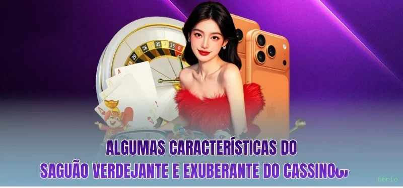 Formulário registro 66rio
